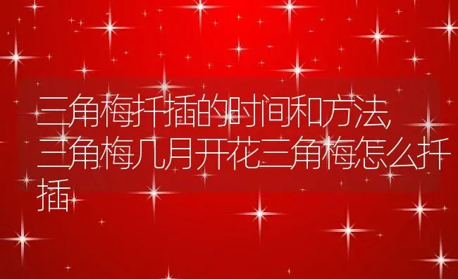 三角梅扦插的时间和方法,三角梅几月开花三角梅怎么扦插 | 养殖学堂