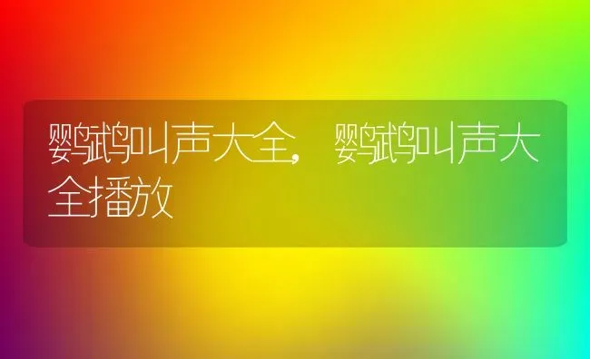 鹦鹉叫声大全,鹦鹉叫声大全播放 | 养殖资料