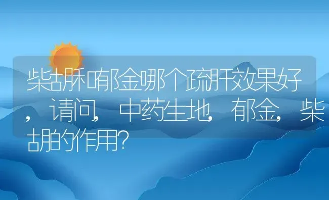 柴胡和郁金哪个疏肝效果好,请问,中药生地,郁金,柴胡的作用？ | 养殖学堂