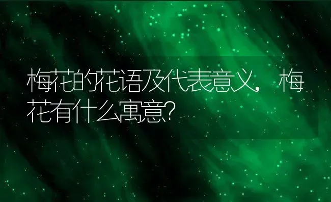 梅花的花语及代表意义,梅花有什么寓意？ | 养殖科普