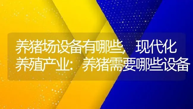 养猪场设备有哪些,现代化养殖产业:养猪需要哪些设备 | 养殖学堂