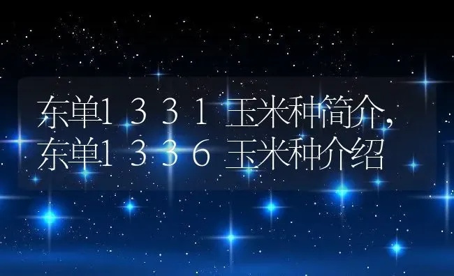 东单1331玉米种简介,东单1336玉米种介绍 | 养殖学堂