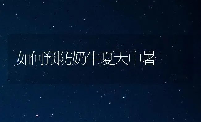 如何预防奶牛夏天中暑 | 养殖技术大全