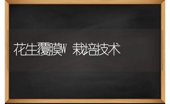 花生覆膜W栽培技术 | 养殖技术大全