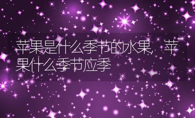 苹果是什么季节的水果,苹果什么季节应季 | 养殖学堂
