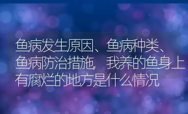 鱼病发生原因、鱼病种类、鱼病防治措施,我养的鱼身上有腐烂的地方是什么情况 | 养殖学堂