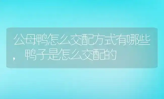 公母鸭怎么交配方式有哪些,鸭子是怎么交配的 | 养殖学堂
