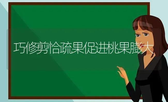 正确科学合理使用药物 | 养殖技术大全