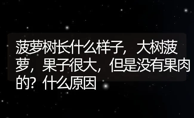 菠萝树长什么样子,大树菠萝，果子很大，但是没有果肉的？什么原因 | 养殖学堂