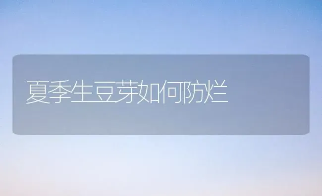 夏季生豆芽如何防烂 | 养殖技术大全