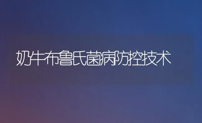 奶牛布鲁氏菌病防控技术 | 养殖知识