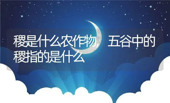 稷是什么农作物,五谷中的稷指的是什么 | 养殖学堂