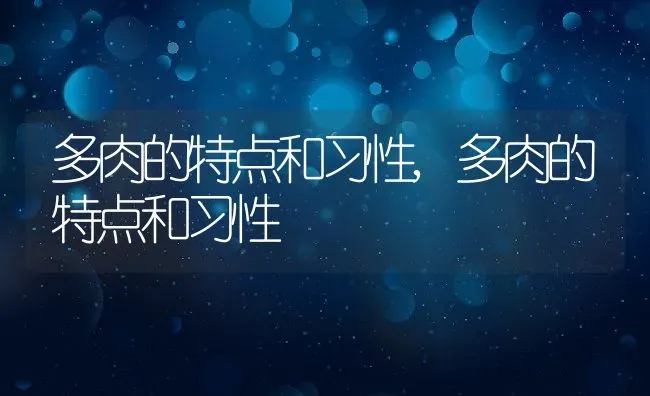 多肉的特点和习性,多肉的特点和习性 | 养殖学堂