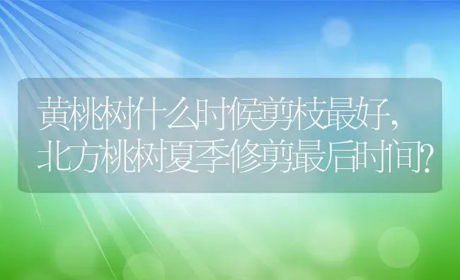 黄桃树什么时候剪枝最好,北方桃树夏季修剪最后时间？ | 养殖学堂