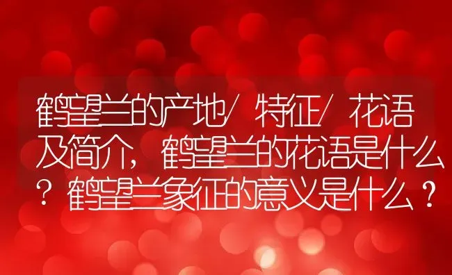 鹤望兰的产地/特征/花语及简介,鹤望兰的花语是什么?鹤望兰象征的意义是什么？ | 养殖科普