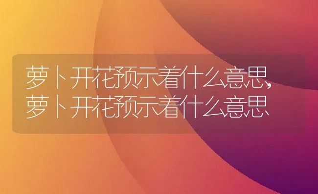 萝卜开花预示着什么意思,萝卜开花预示着什么意思 | 养殖科普