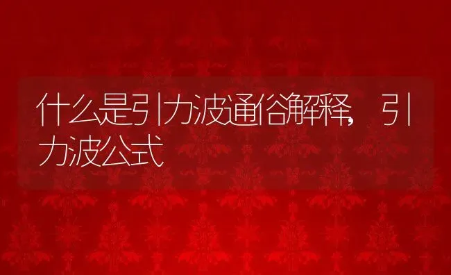 什么是引力波通俗解释,引力波公式 | 养殖学堂