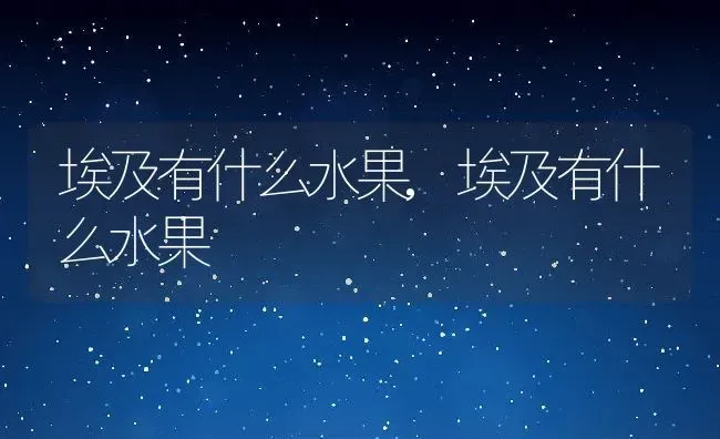 埃及有什么水果,埃及有什么水果 | 养殖科普