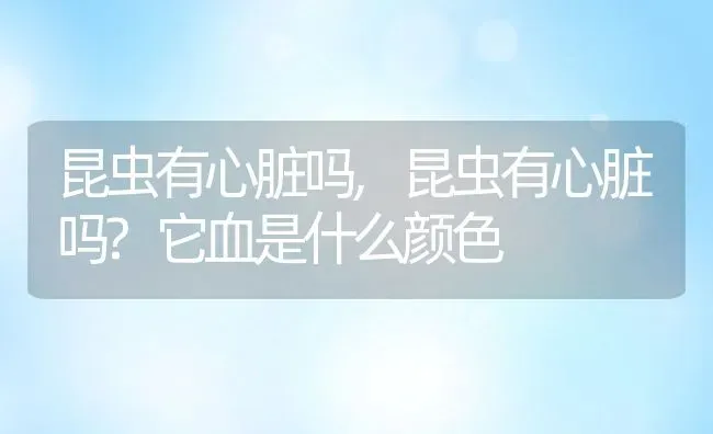 昆虫有心脏吗,昆虫有心脏吗?它血是什么颜色 | 养殖科普