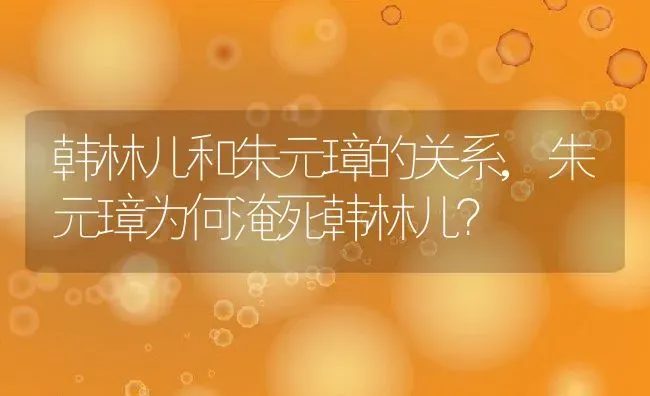 韩林儿和朱元璋的关系,朱元璋为何淹死韩林儿？ | 养殖科普