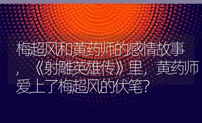 梅超风和黄药师的感情故事,《射雕英雄传》里，黄药师爱上了梅超风的伏笔？ | 养殖科普