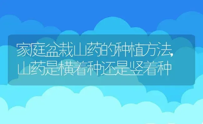 家庭盆栽山药的种植方法,山药是横着种还是竖着种 | 养殖学堂