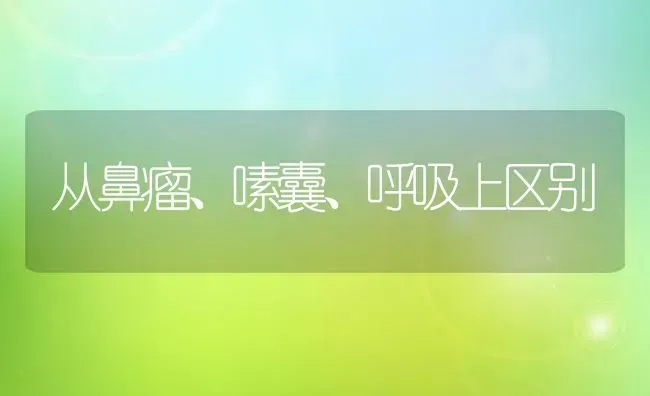 从鼻瘤、嗉囊、呼吸上区别 | 养殖技术大全