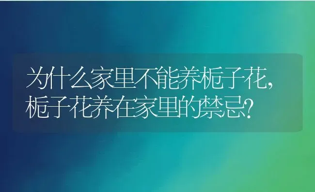 为什么家里不能养栀子花,栀子花养在家里的禁忌？ | 养殖学堂