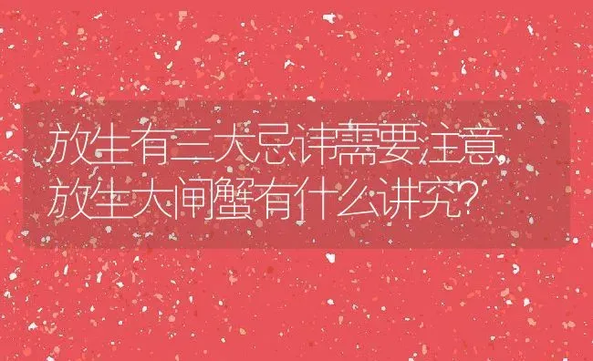 放生有三大忌讳需要注意,放生大闸蟹有什么讲究？ | 养殖科普