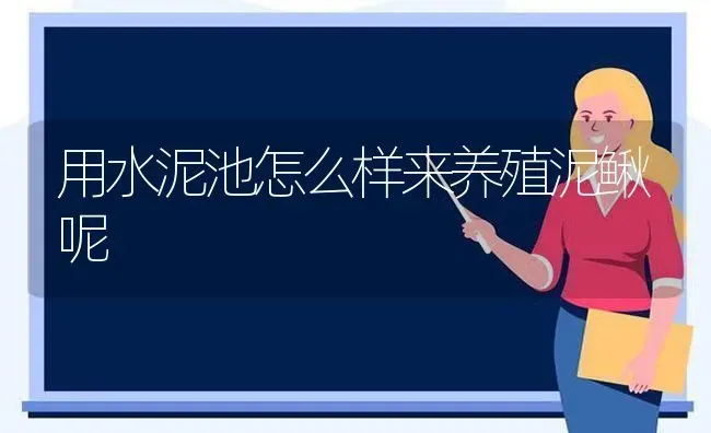 用水泥池怎么样来养殖泥鳅呢 | 养殖技术大全