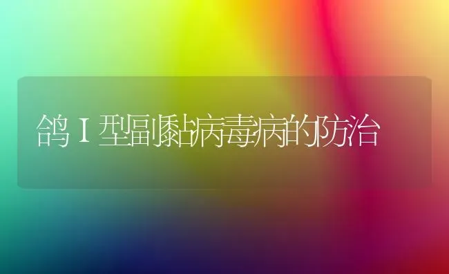 鸽Ⅰ型副黏病毒病的防治 | 养殖技术大全