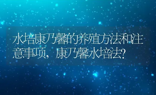 水培康乃馨的养殖方法和注意事项,康乃馨水培法？ | 养殖科普