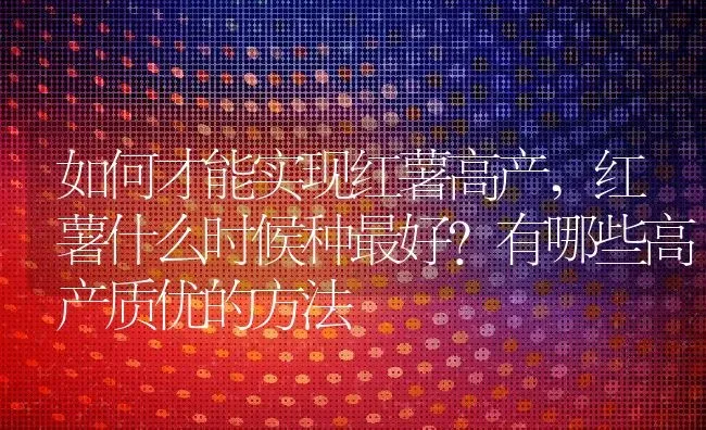 如何才能实现红薯高产,红薯什么时候种最好？有哪些高产质优的方法 | 养殖学堂