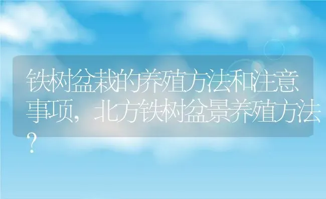 铁树盆栽的养殖方法和注意事项,北方铁树盆景养殖方法？ | 养殖科普