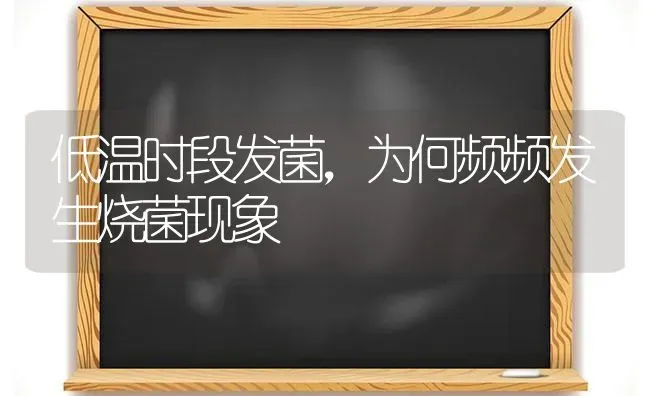 低温时段发菌,为何频频发生烧菌现象 | 养殖技术大全