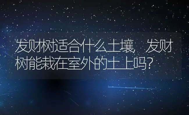 发财树适合什么土壤,发财树能栽在室外的土上吗？ | 养殖科普