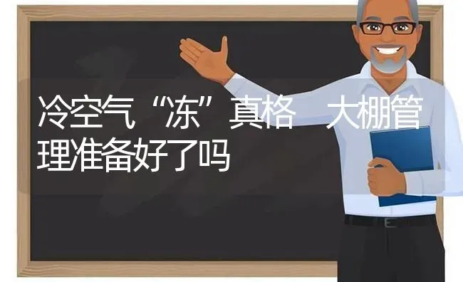 冷空气“冻”真格 大棚管理准备好了吗 | 养殖技术大全