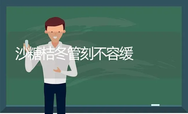 沙糖桔冬管刻不容缓 | 养殖知识