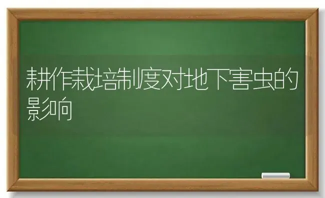 耕作栽培制度对地下害虫的影响 | 养殖知识