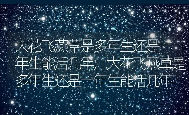 大花飞燕草是多年生还是一年生能活几年,大花飞燕草是多年生还是一年生能活几年 | 养殖科普