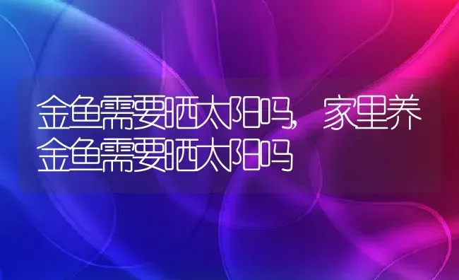 金鱼需要晒太阳吗,家里养金鱼需要晒太阳吗 | 养殖科普