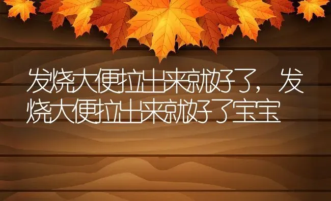 发烧大便拉出来就好了,发烧大便拉出来就好了宝宝 | 养殖科普