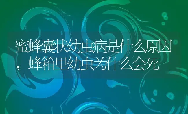蜜蜂囊状幼虫病是什么原因,蜂箱里幼虫为什么会死 | 养殖学堂