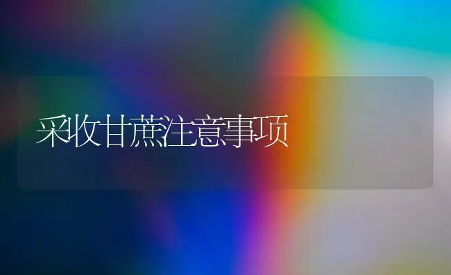 采收甘蔗注意事项 | 养殖技术大全