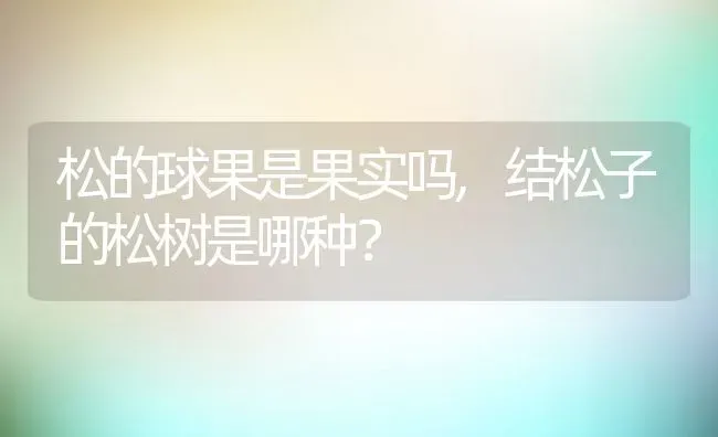 松的球果是果实吗,结松子的松树是哪种？ | 养殖学堂