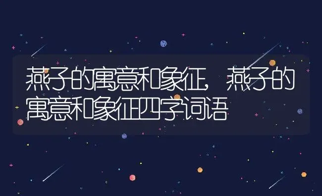 燕子的寓意和象征,燕子的寓意和象征四字词语 | 养殖科普