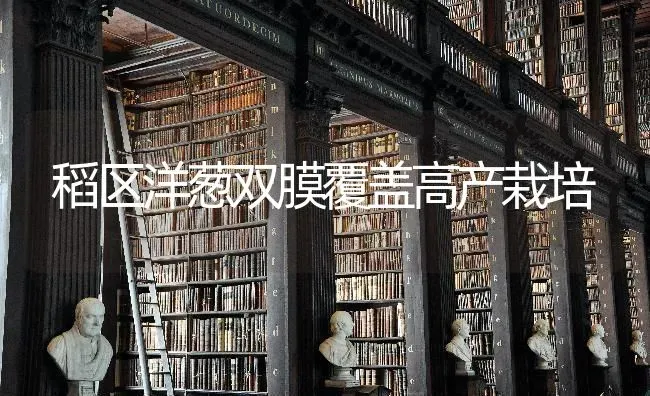 稻区洋葱双膜覆盖高产栽培 | 养殖技术大全