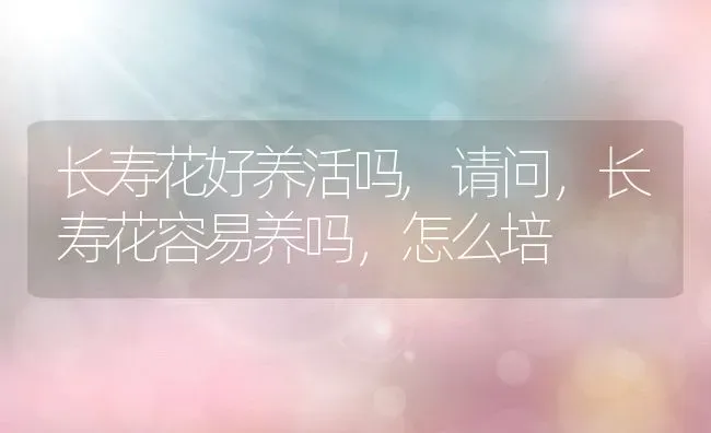 长寿花好养活吗,请问，长寿花容易养吗，怎么培 | 养殖学堂