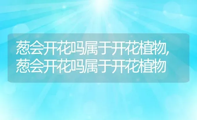 葱会开花吗属于开花植物,葱会开花吗属于开花植物 | 养殖科普