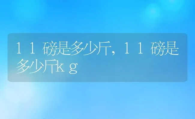 11磅是多少斤,11磅是多少斤kg | 养殖科普